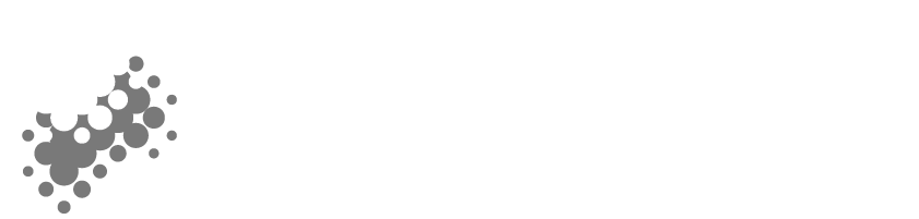 EVZ Logo